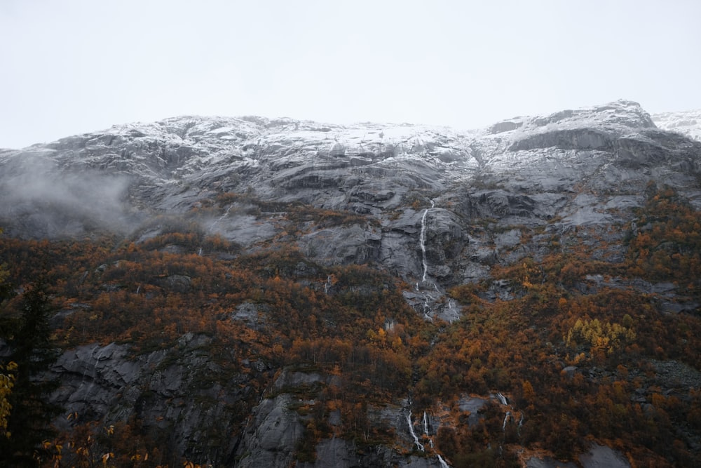 a mountain covered in snow and surrounded by trees