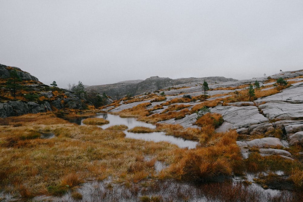 a small stream running through a grass covered hillside