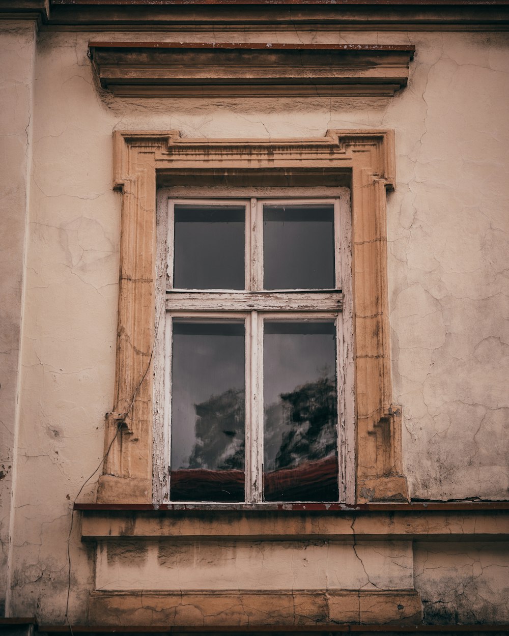 a window with a cat sitting in the window sill