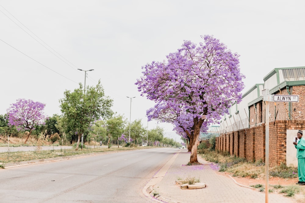 a woman standing next to a tree on the side of a road