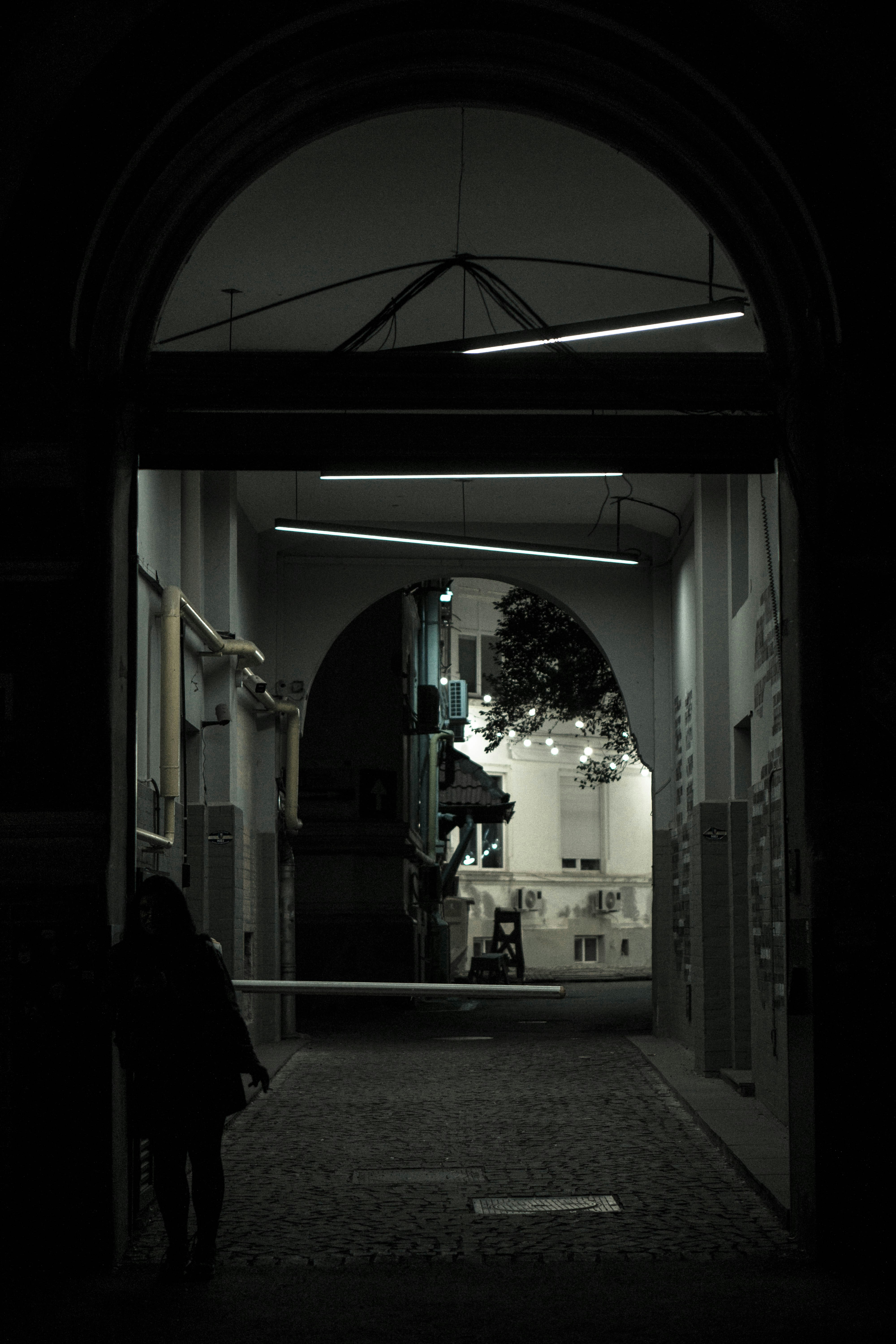 Photo by photosynthesis13