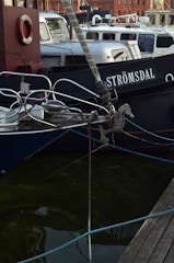 Several boats are docked in a marina area. The foreground features a blue boat with intricate metalwork at its bow, including a seahorse ornament. The boat is anchored with blue ropes close to a wooden dock. A lifebuoy is visible on another boat in the background, which is black and marked with the name 'Strömsdal'. The water appears dark with some green algae.