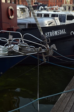 Several boats are docked in a marina area. The foreground features a blue boat with intricate metalwork at its bow, including a seahorse ornament. The boat is anchored with blue ropes close to a wooden dock. A lifebuoy is visible on another boat in the background, which is black and marked with the name 'Strömsdal'. The water appears dark with some green algae.