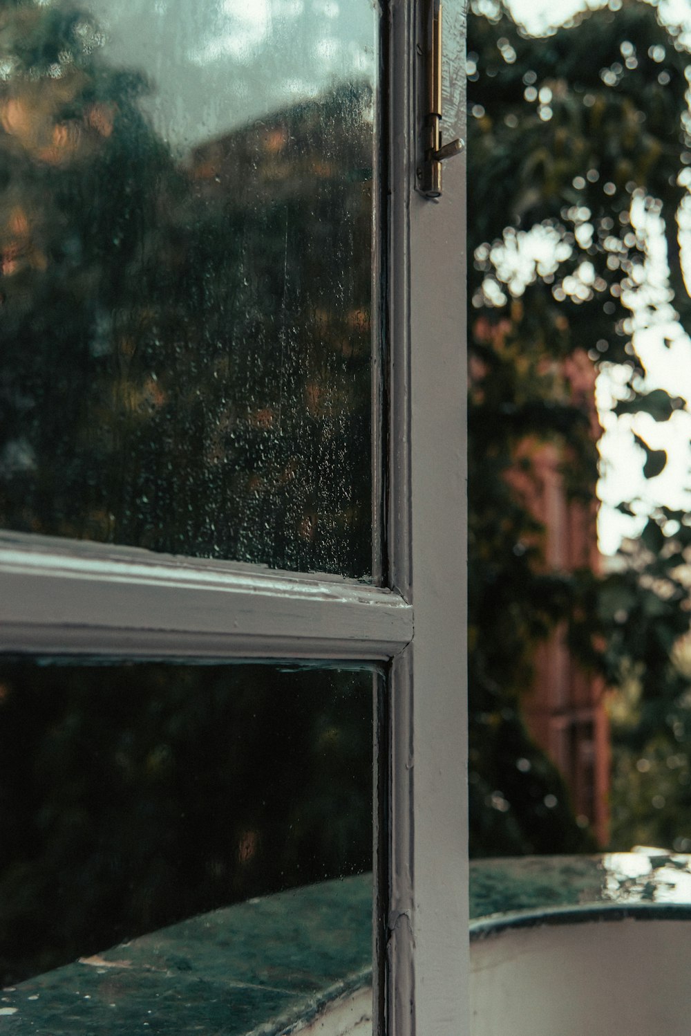 a cat sitting on a window sill looking out the window