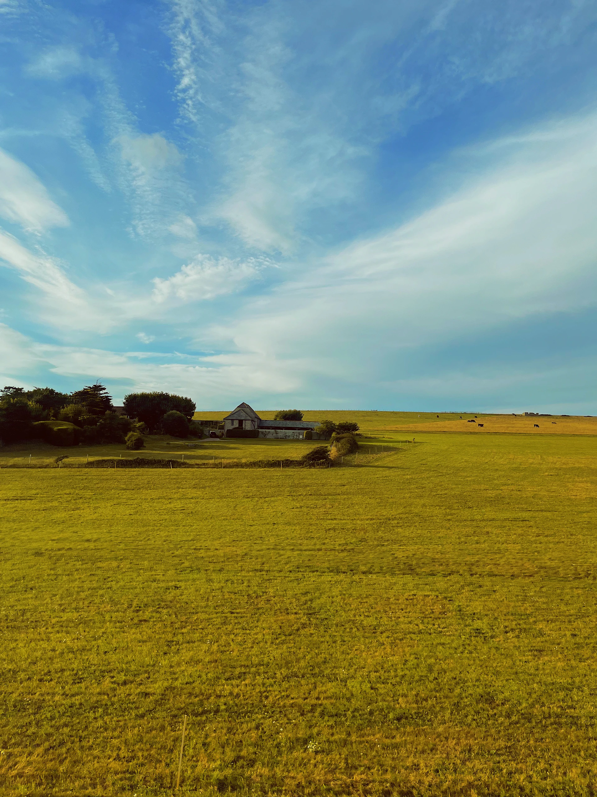 A sunlit, spacious green parcel of land with fertile soil and a clear blue sky, inviting families to imagine their new home.