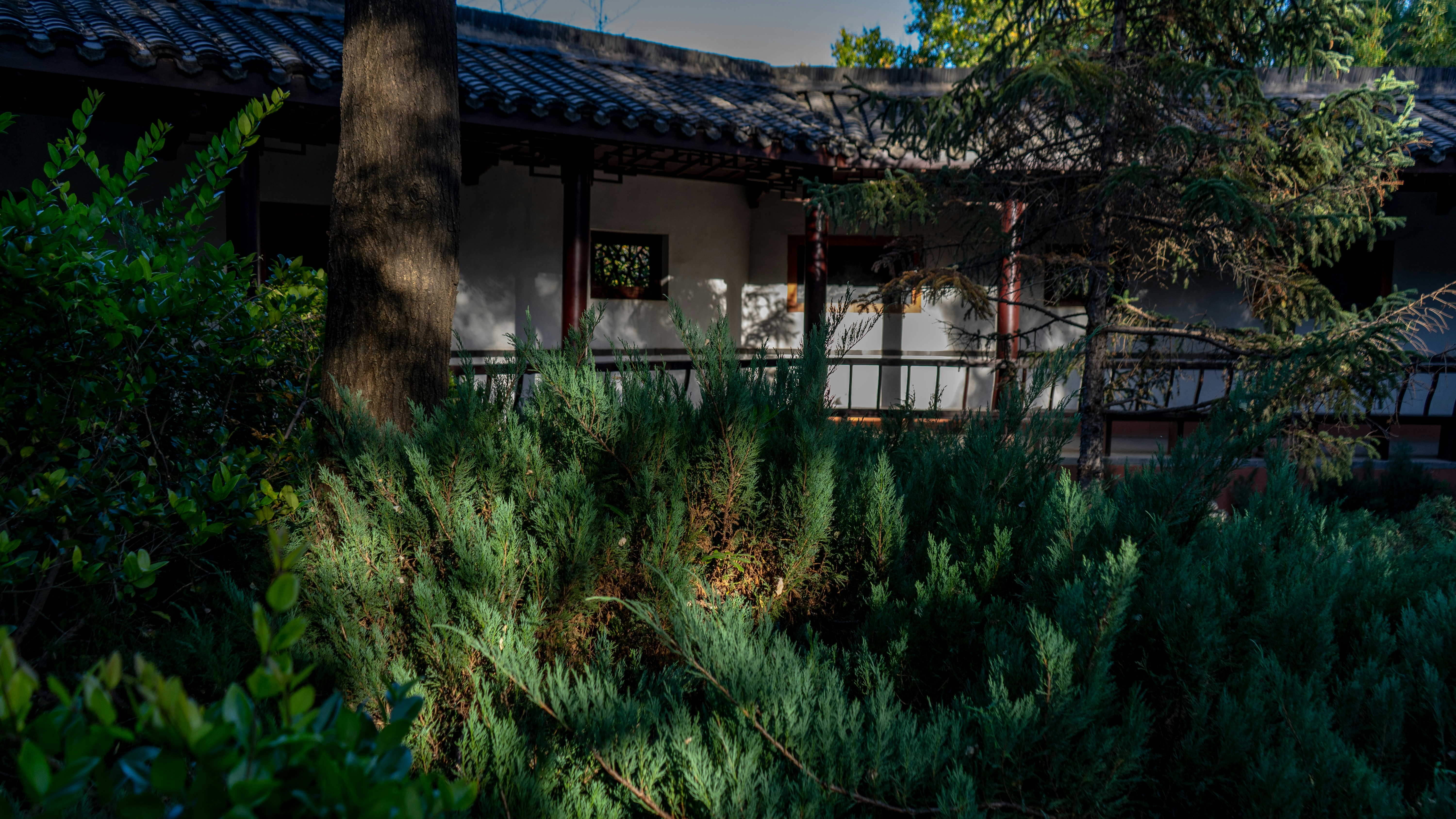 Photo by shangliukeji