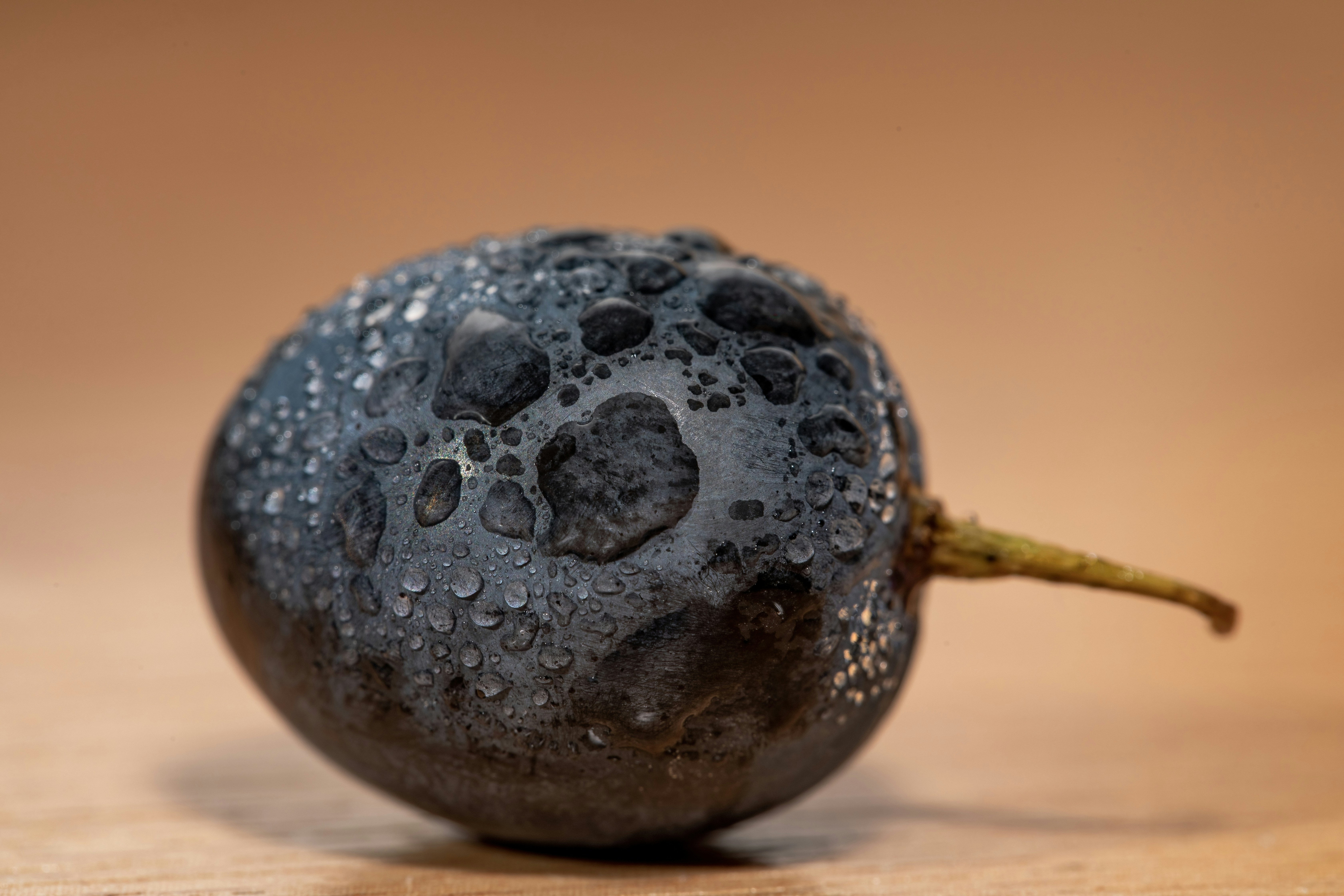 Photo by ovidiugruescu