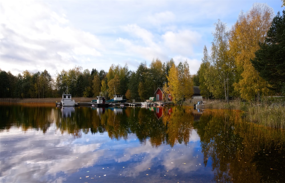 a body of water surrounded by a forest