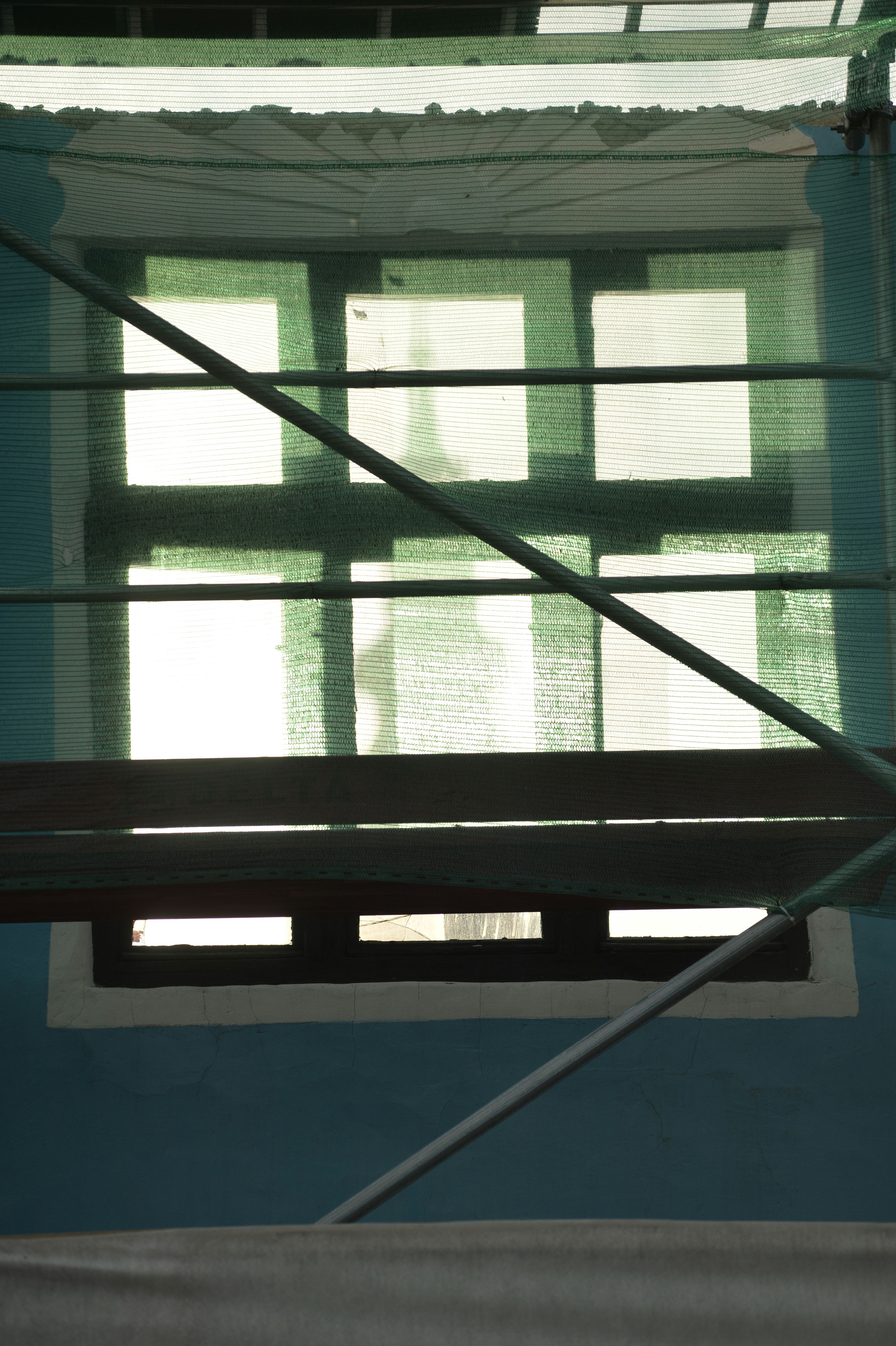 Photo by baliko_andras