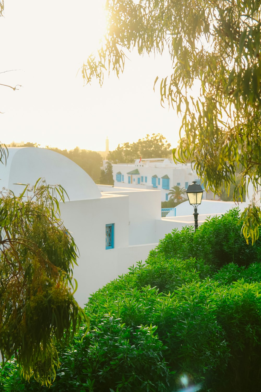 a white building with blue shutters and a lamp post