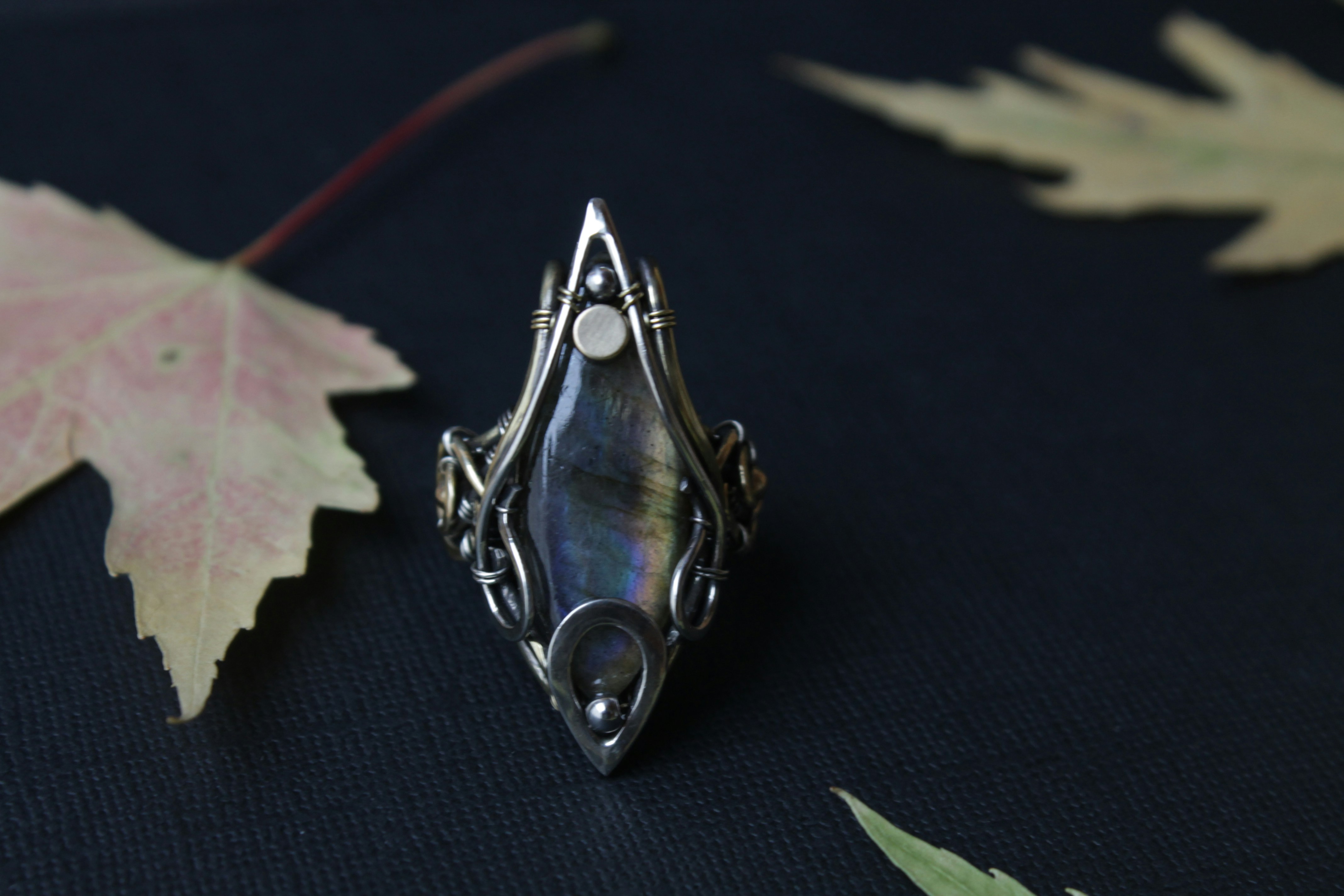 Photo by thehouseofthewitch