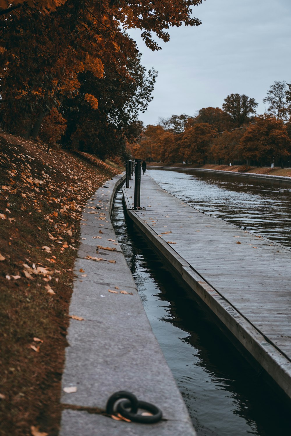 a couple of people standing next to a body of water