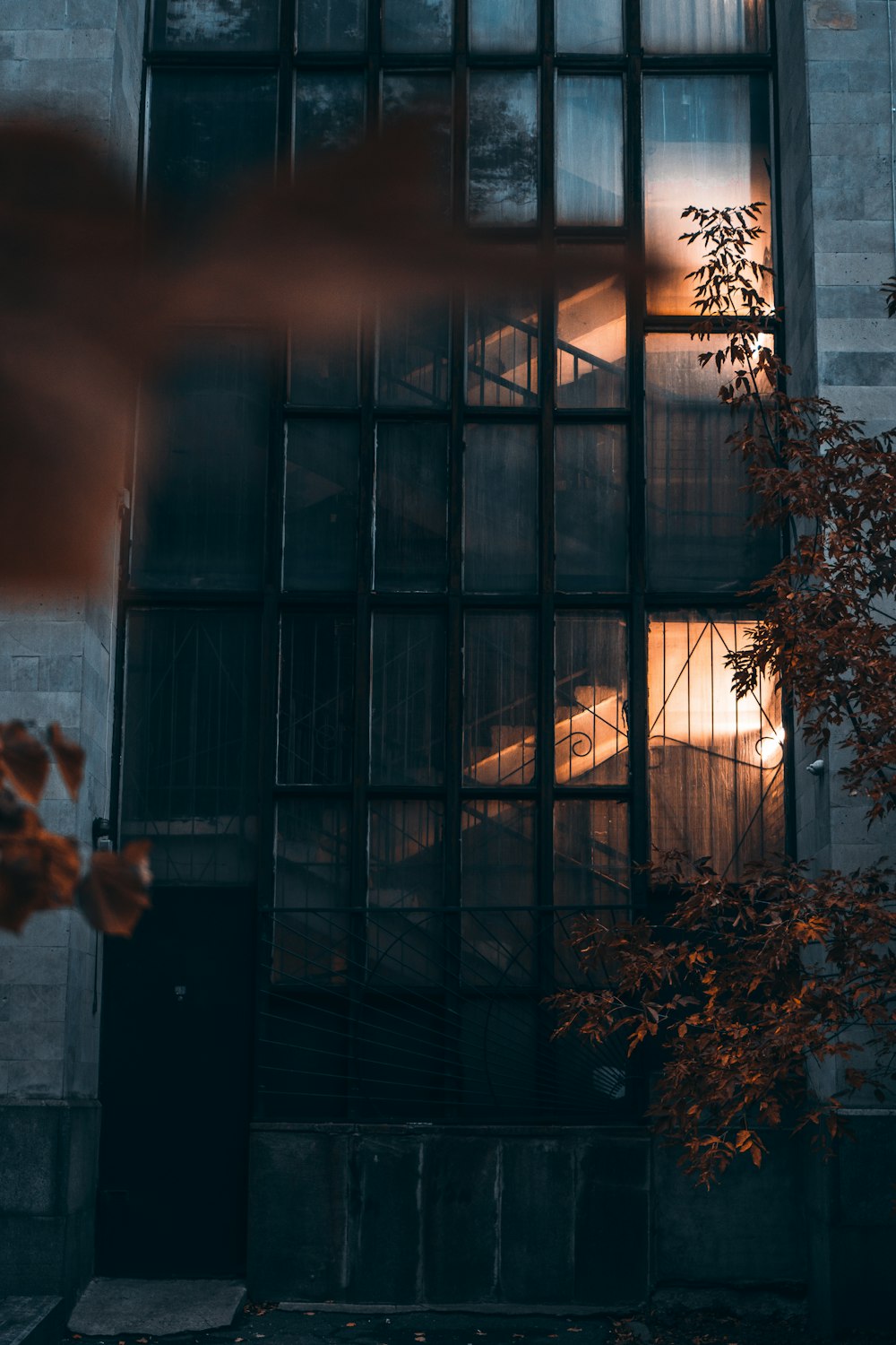 a tall building with lots of windows next to a tree