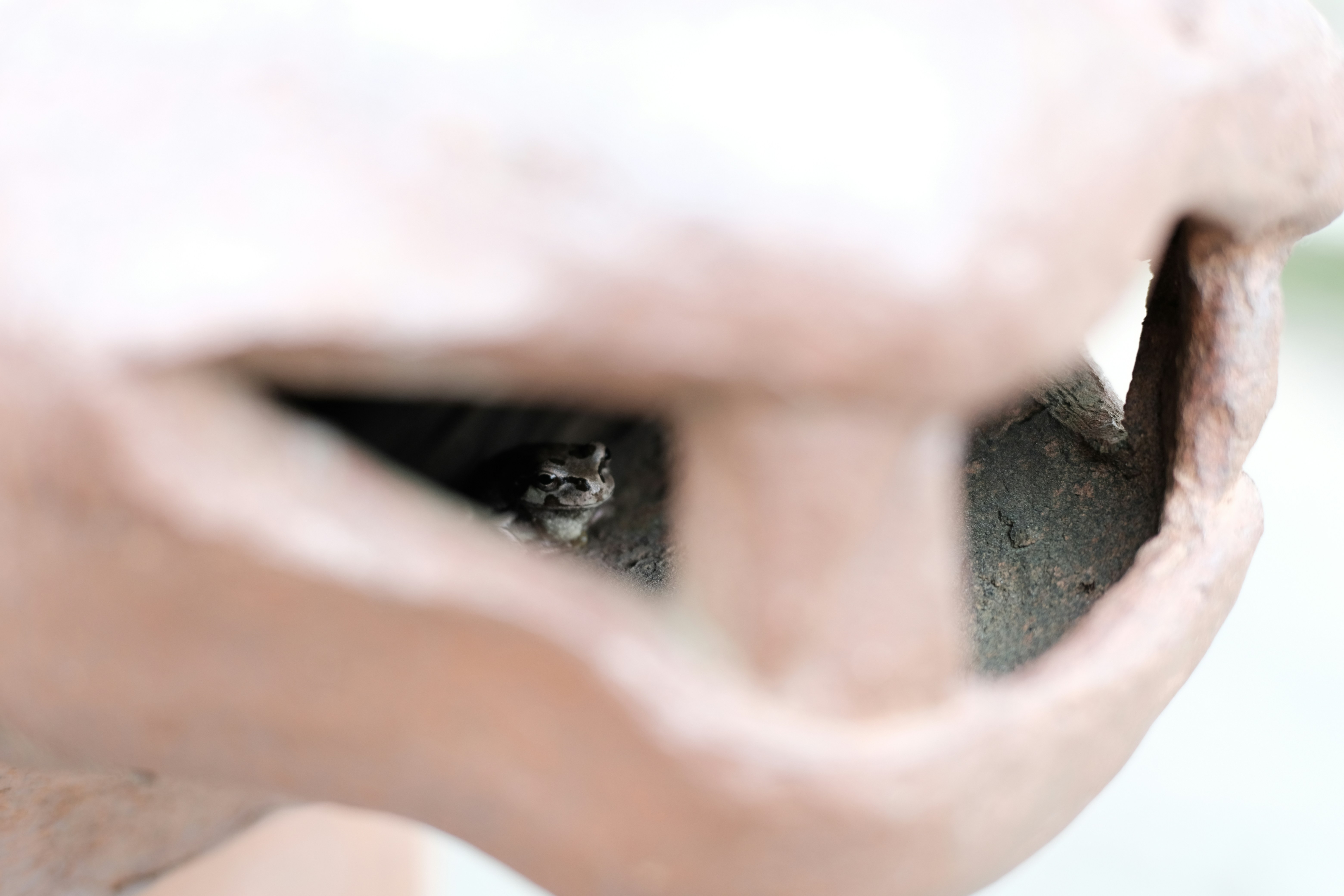 Photo by seiya_maeda