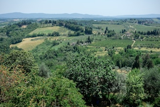 Rolling green hills and cork oak trees typical of the Extremadura countryside.
