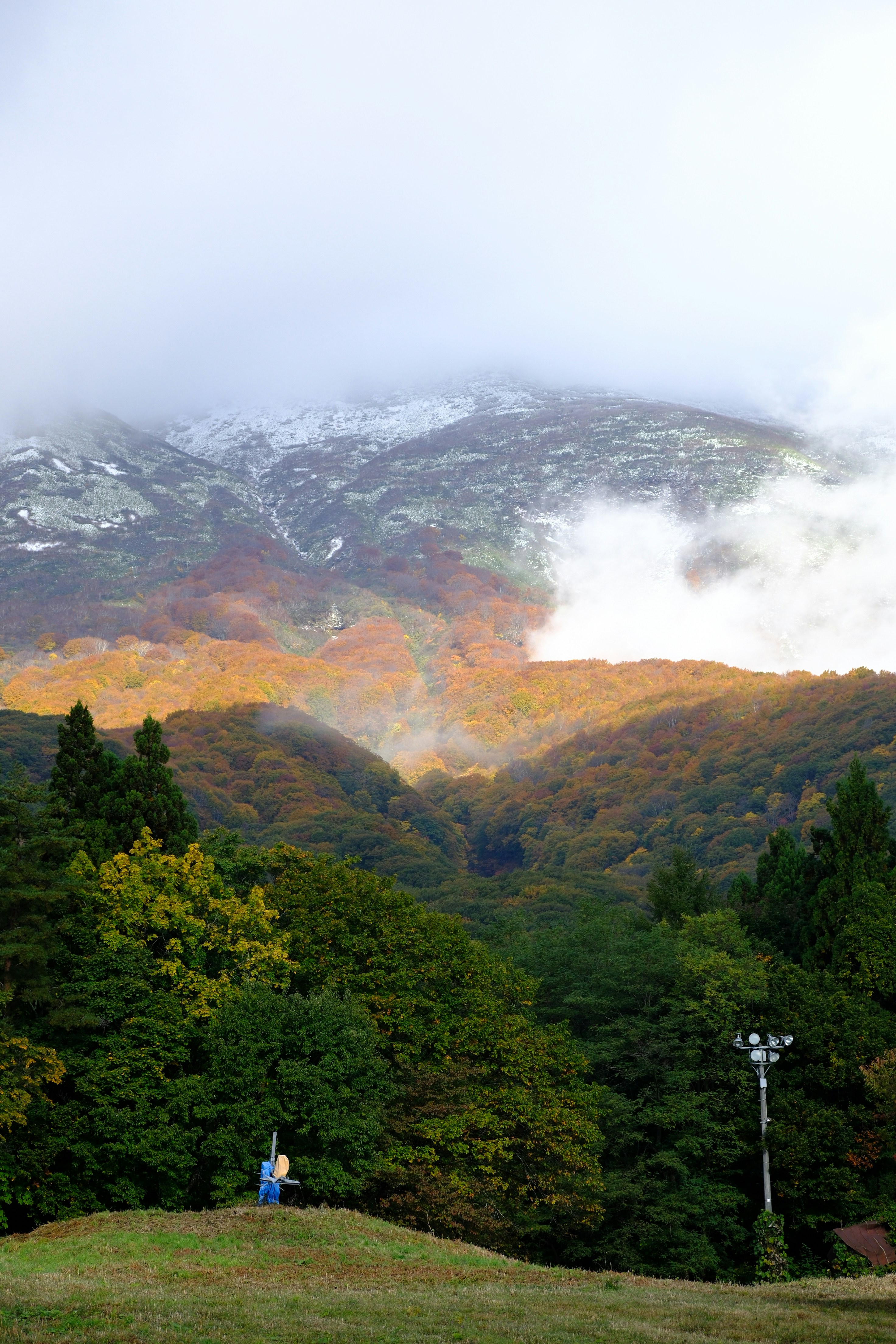 Nagano and Tottori nature glamping