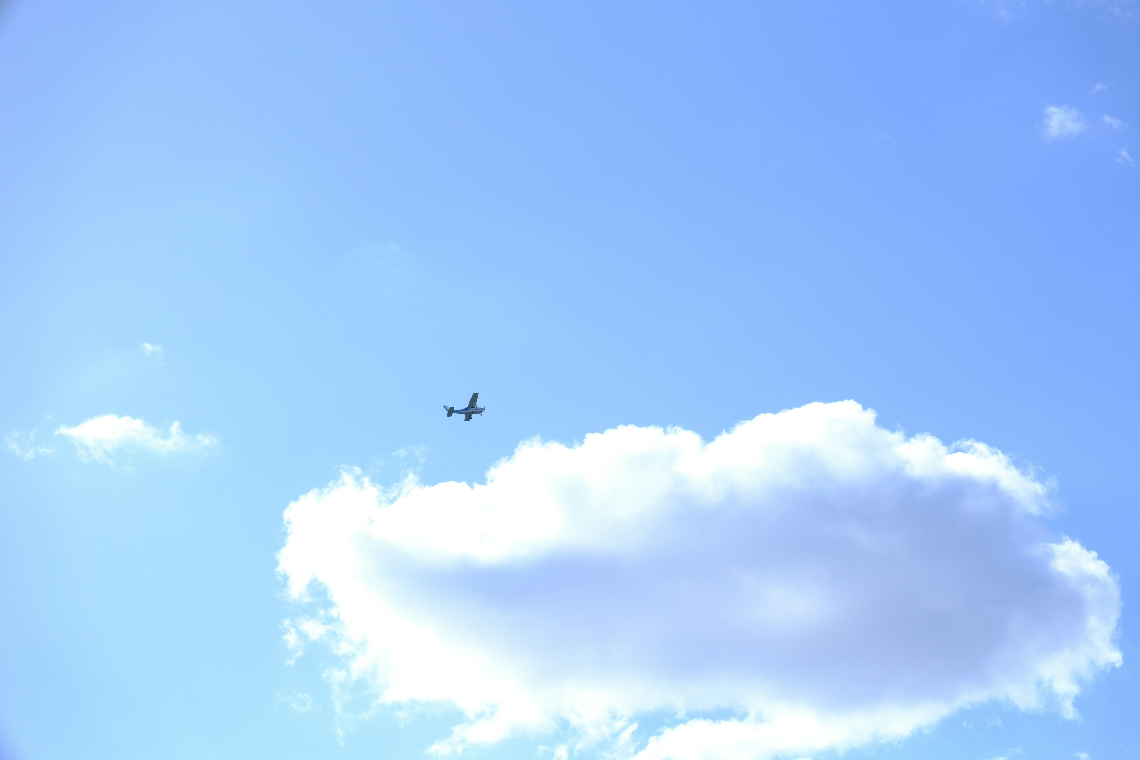 Photo by seiya_maeda