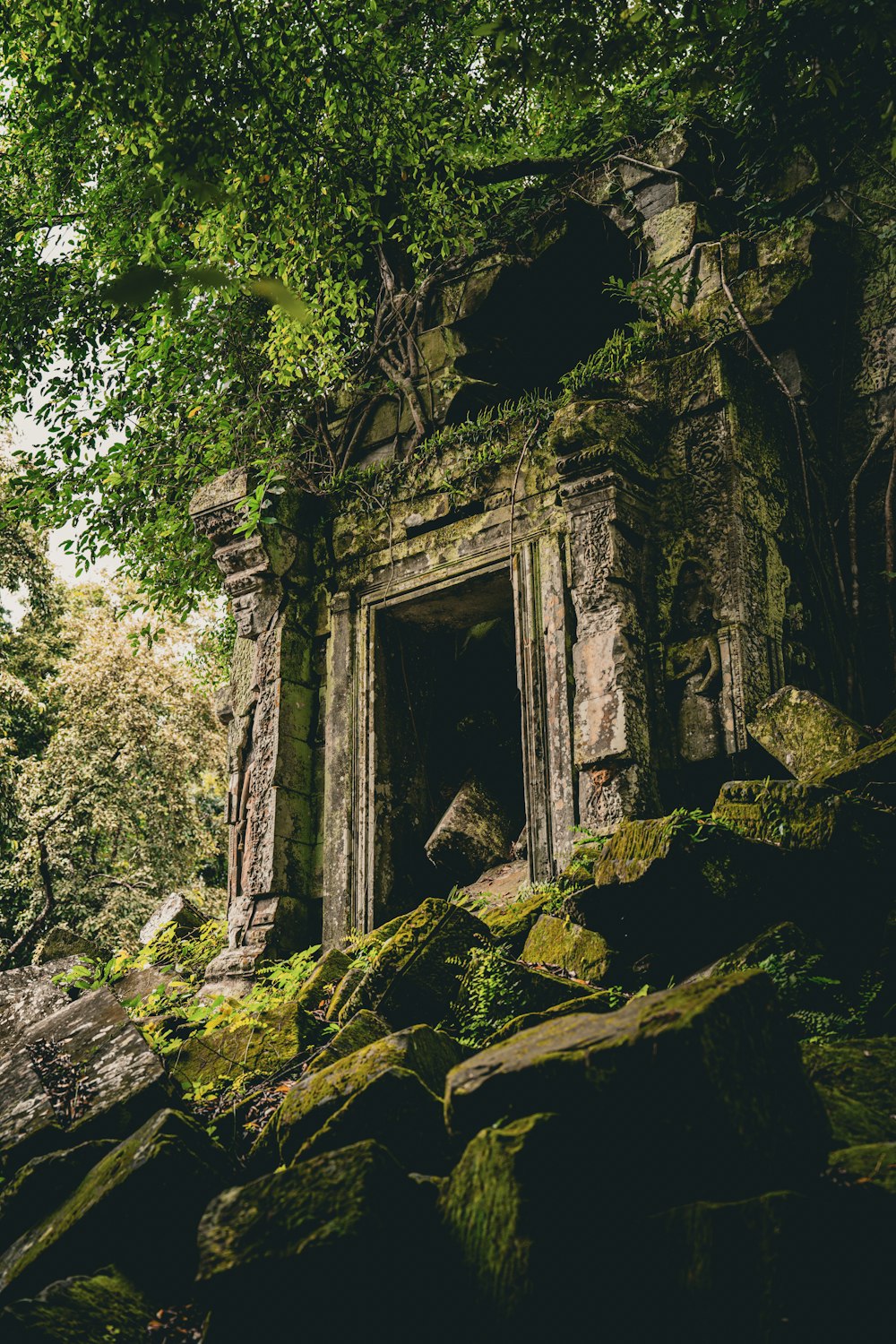 a very old building with a tree growing out of it