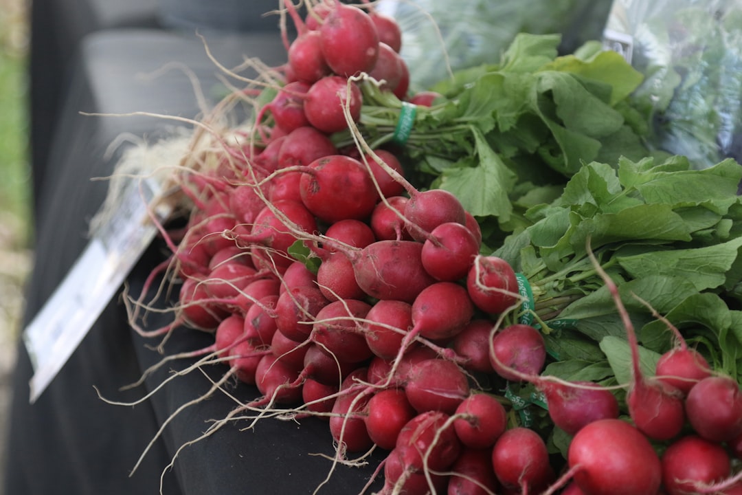 radishes and lettuce on display at a farmers market