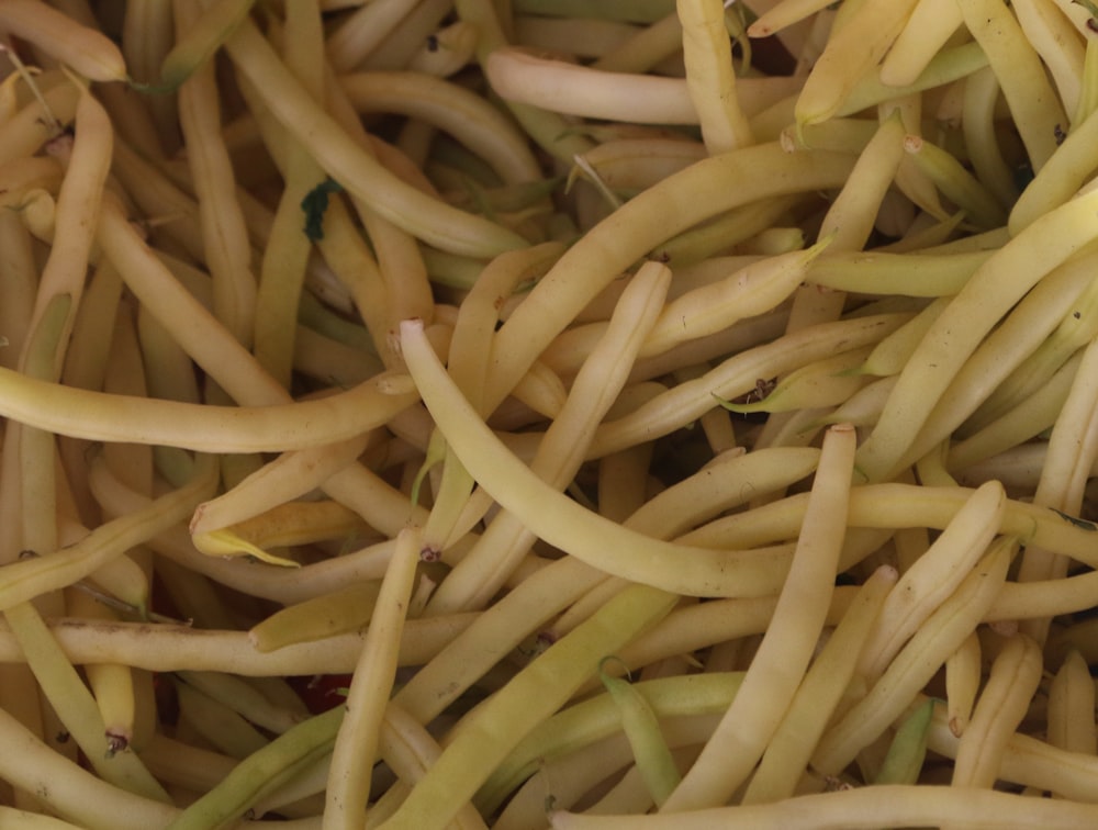 a close up of a pile of bean sprouts