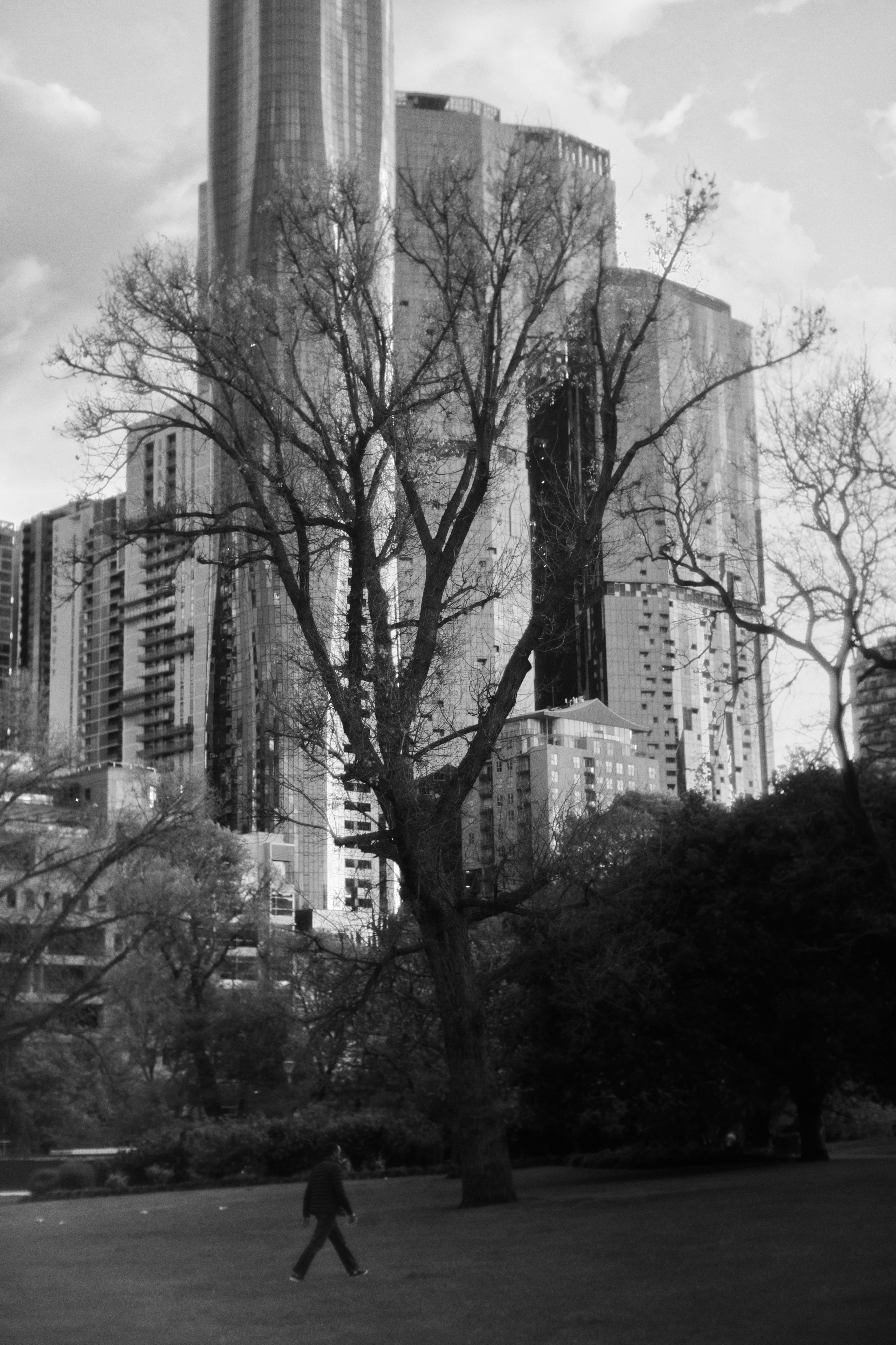 uma foto em preto e branco de uma pessoa caminhando em um parque