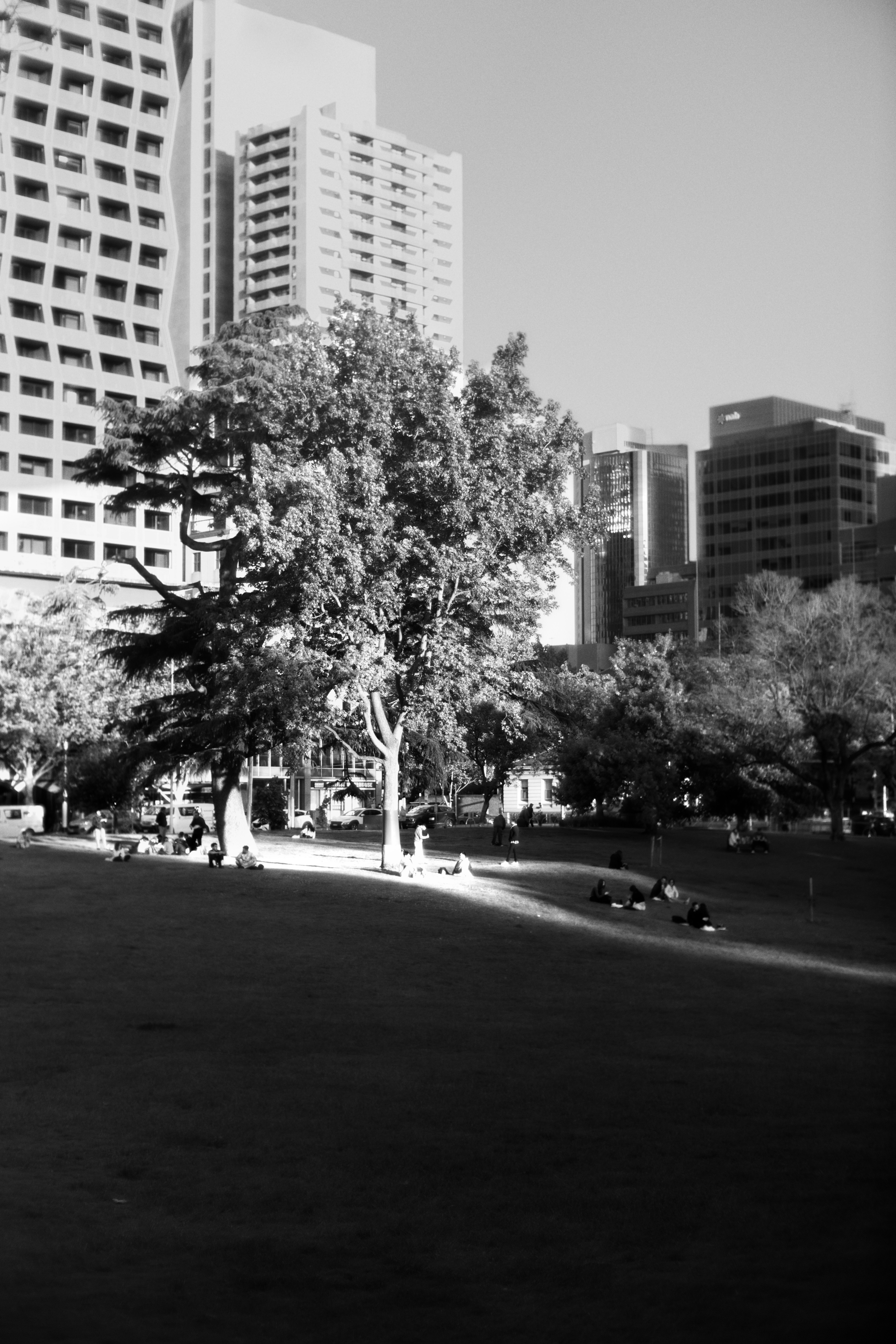 uma foto em preto e branco de um parque da cidade