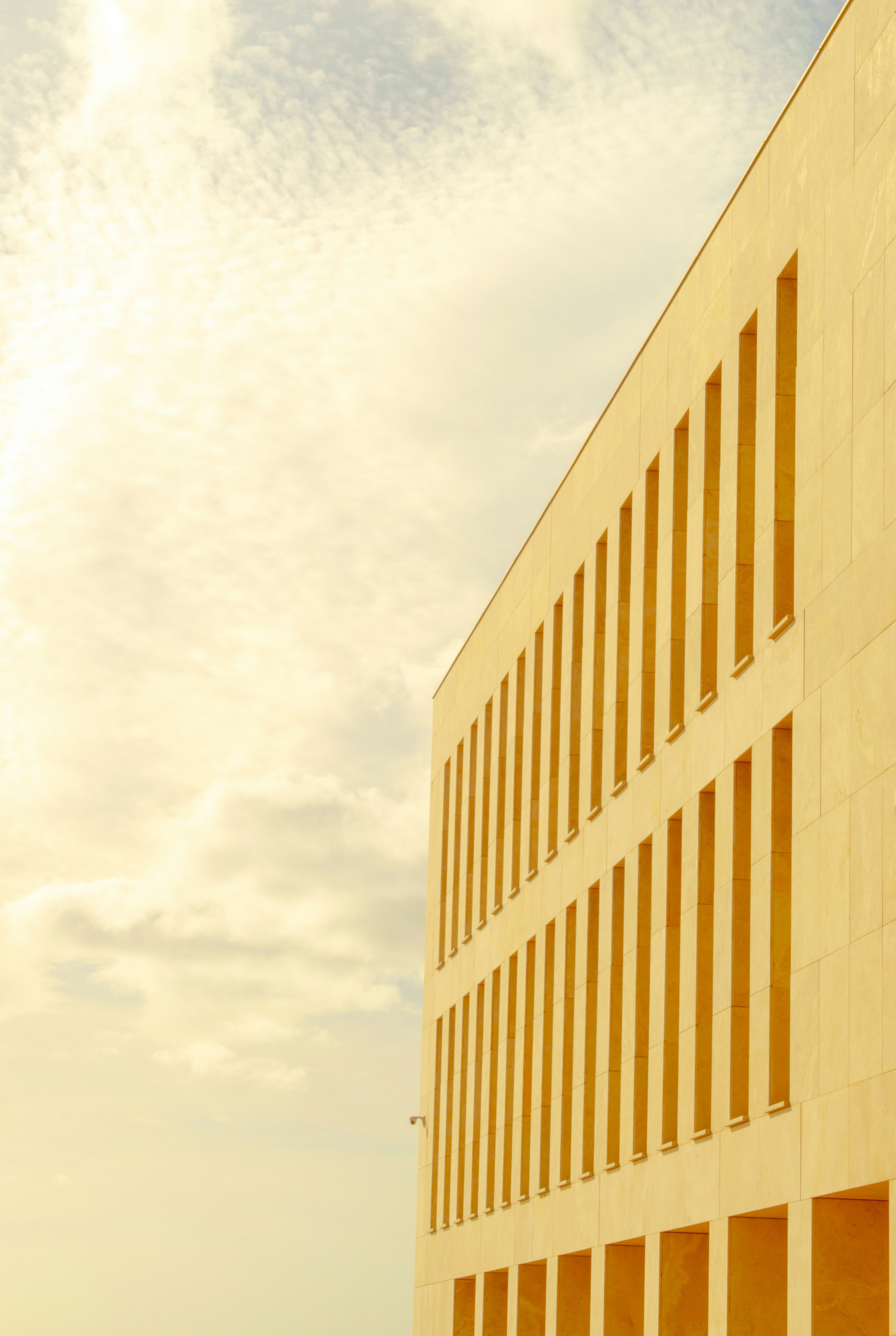 Photo by lorenzosardelli