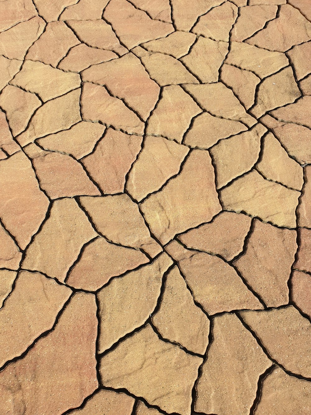 a close up view of a cracked concrete surface