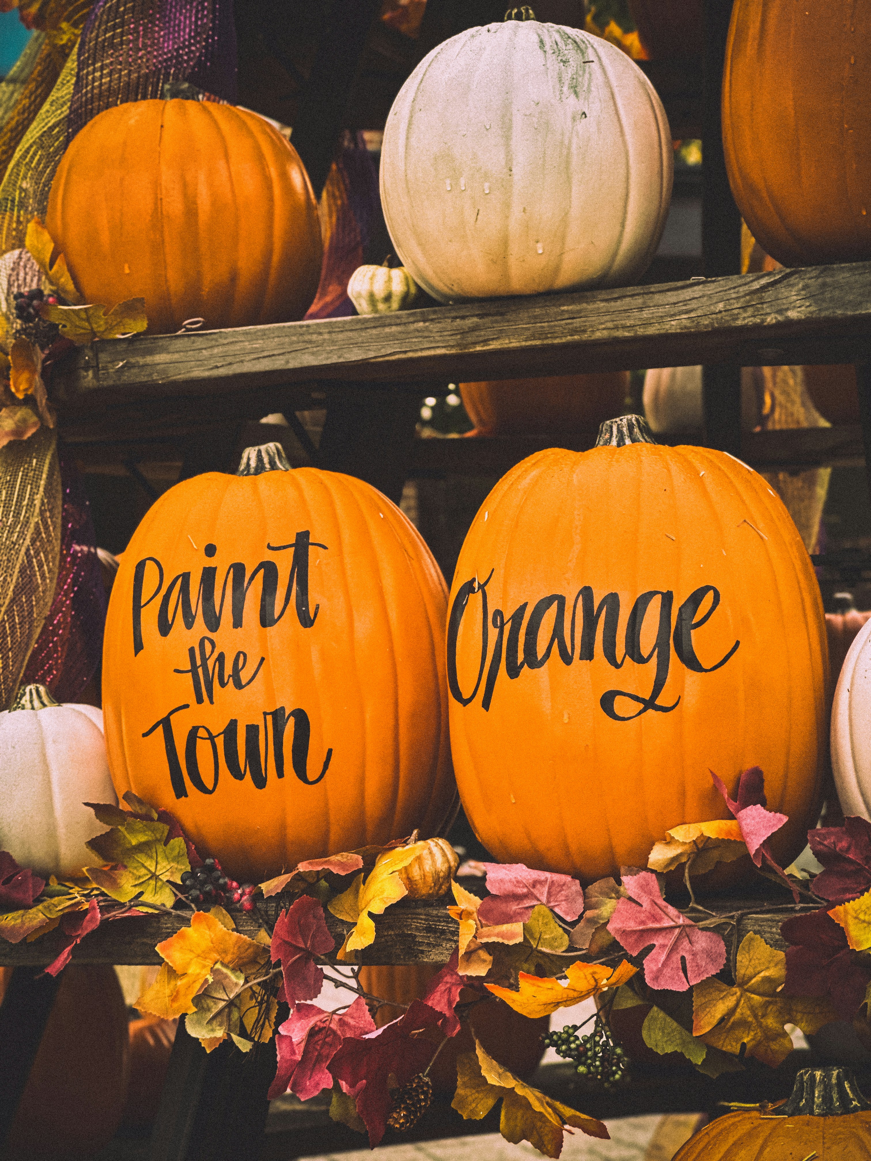 three painted pumpkins with words painted on them