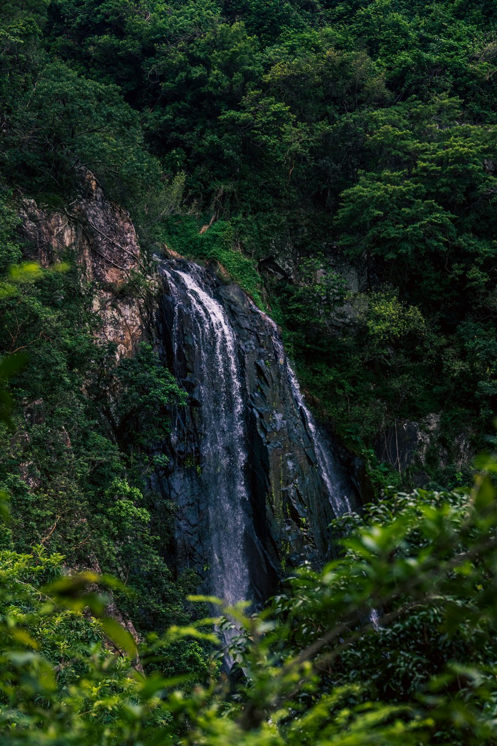 a large waterfall in the middle of a forest