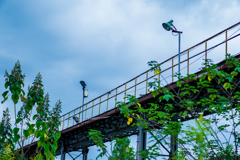 a bird is sitting on top of a bridge