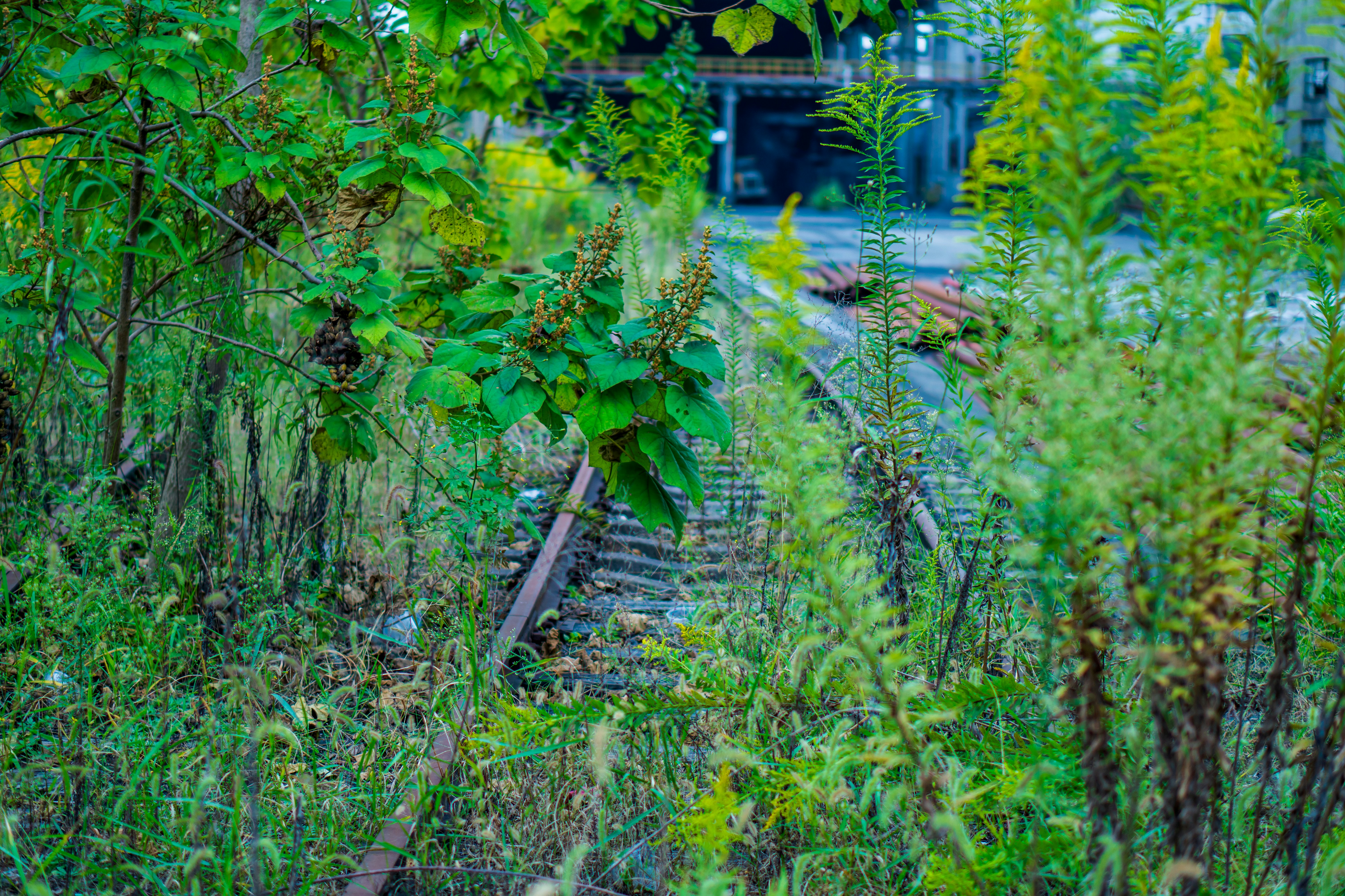 Photo by youngjun420