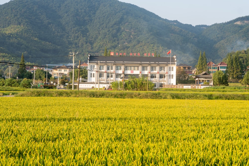 un grande edificio bianco seduto nel mezzo di un campo verde lussureggiante