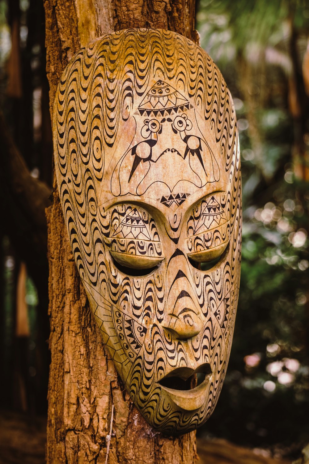 a wooden mask hanging on a tree in a forest
