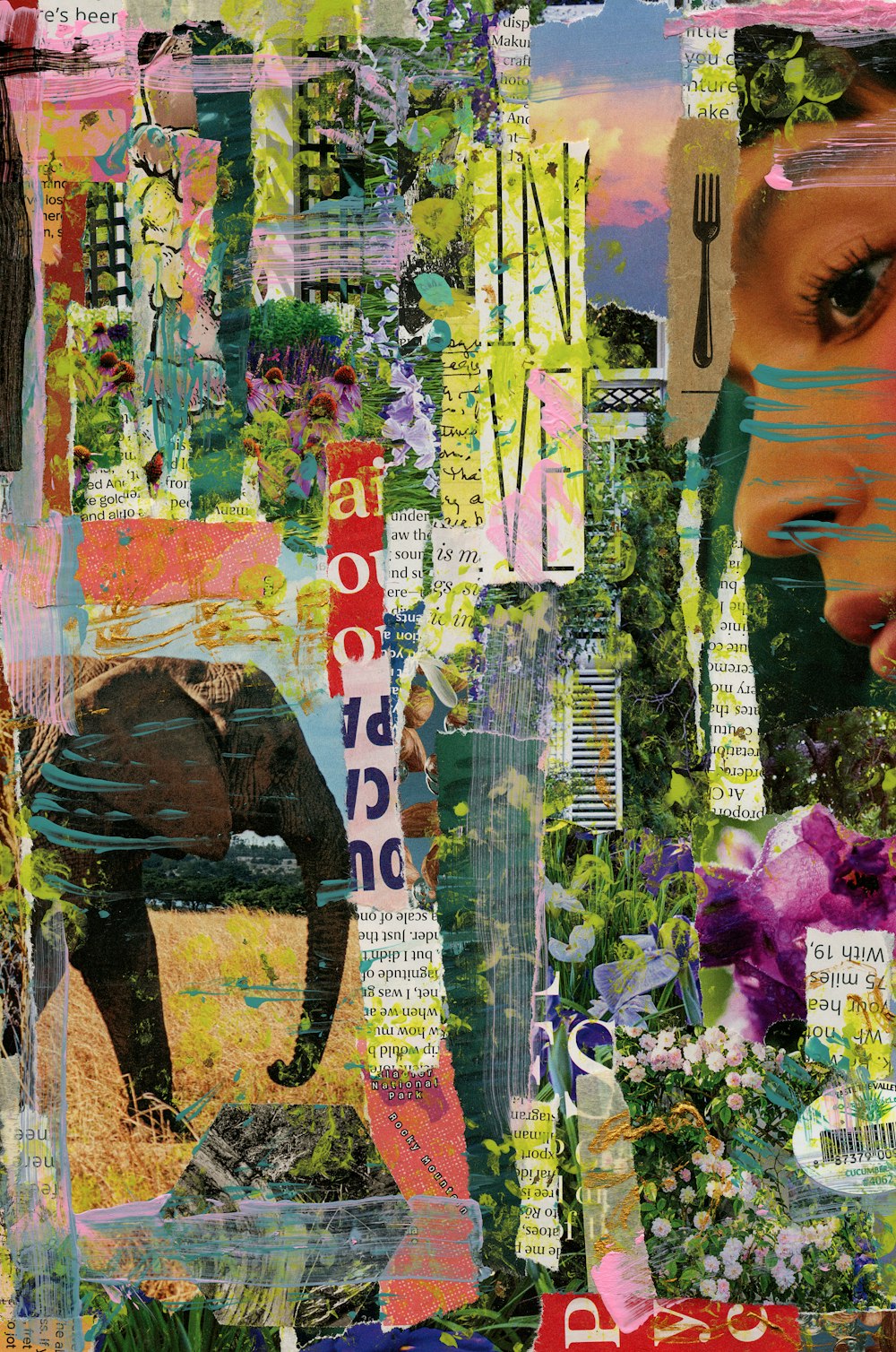 a collage of a woman's face surrounded by words and images