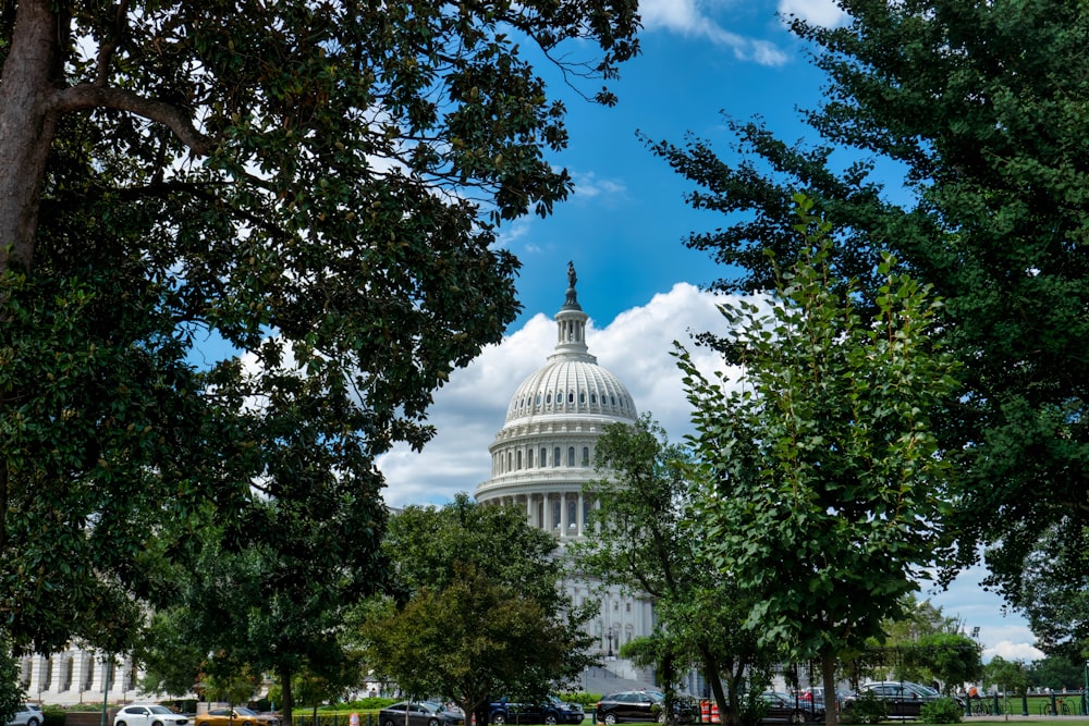 a view of the capitol building through the trees