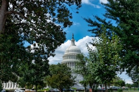The United States Capitol building is prominently framed by lush green trees, with a bright blue sky and scattered clouds in the background. A few cars are parked along the street at the base of the scene.
