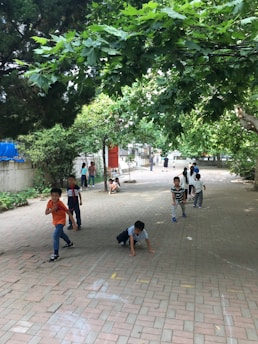 A group of children playing together in a schoolyard, surrounded by trees and colorful playground equipment.