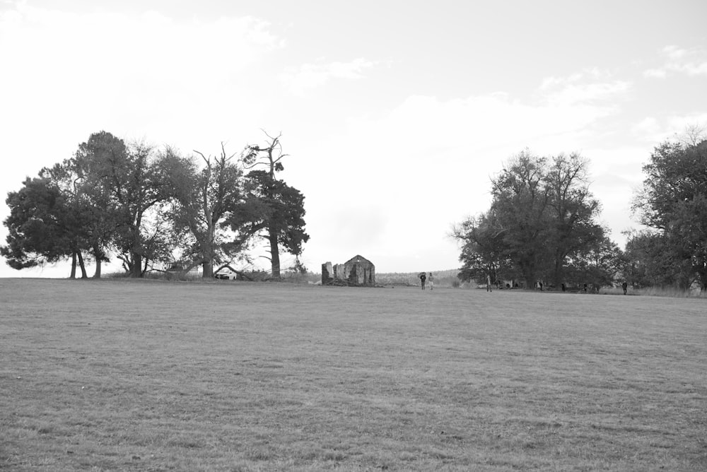 a black and white photo of a grassy field