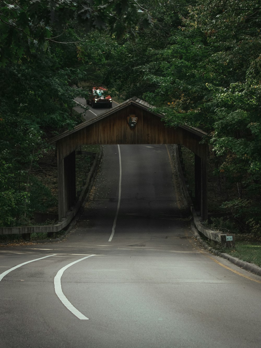 a car driving over a bridge in the middle of a forest
