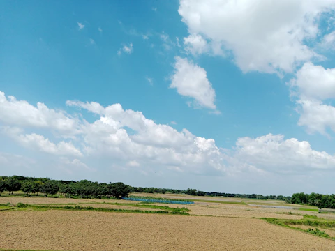 A wide, green farm land under a clear blue sky with distant trees.