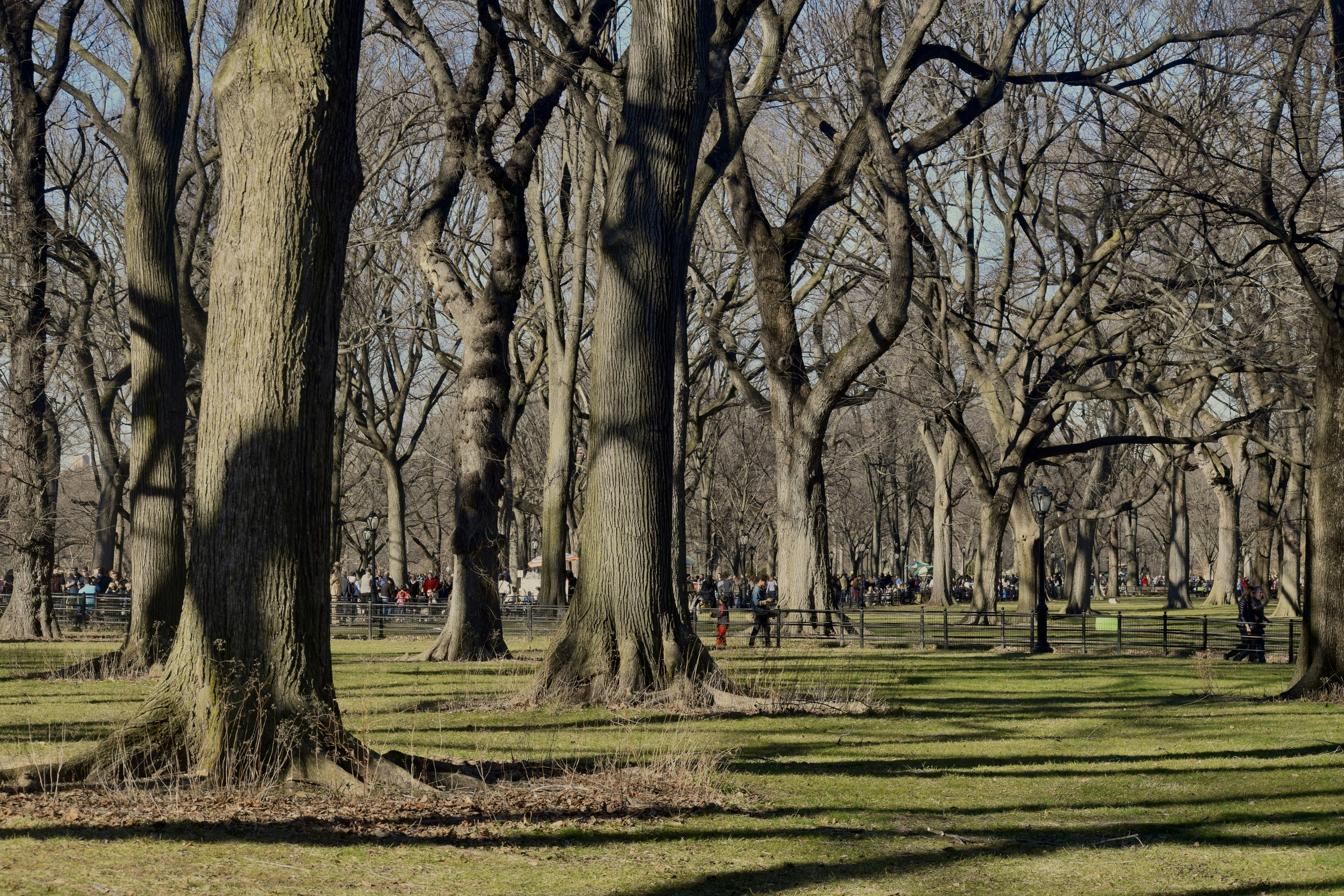 Photo by praswinprakashan