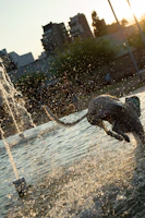 A playful puppy splashing water around a pet fountain, capturing the joy of hydration.
