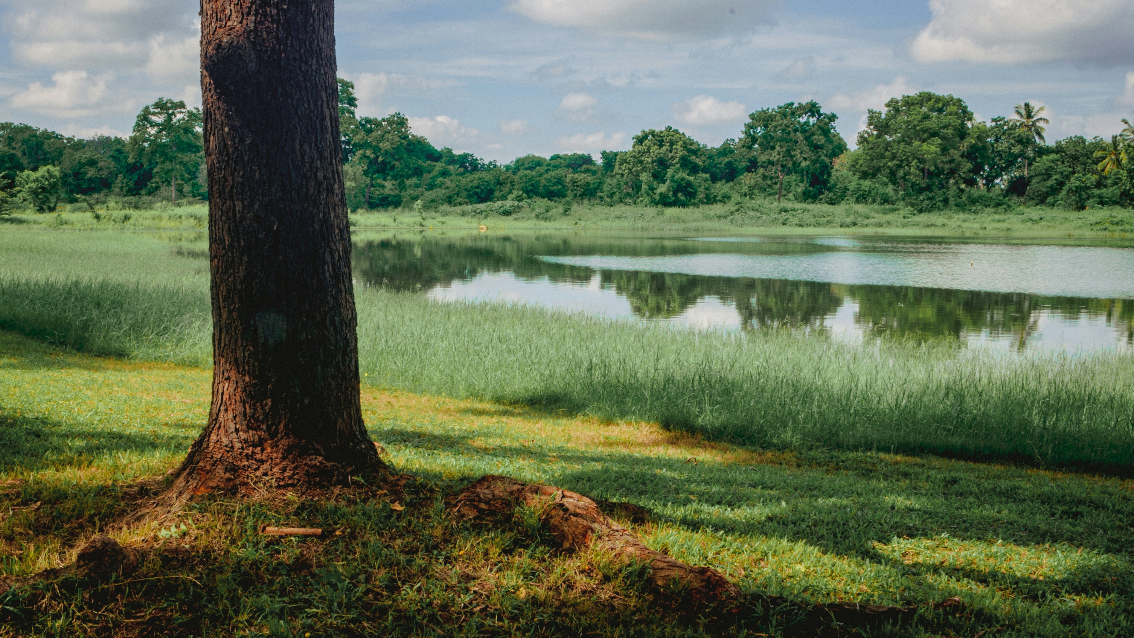 Photo by yanukadeneth99