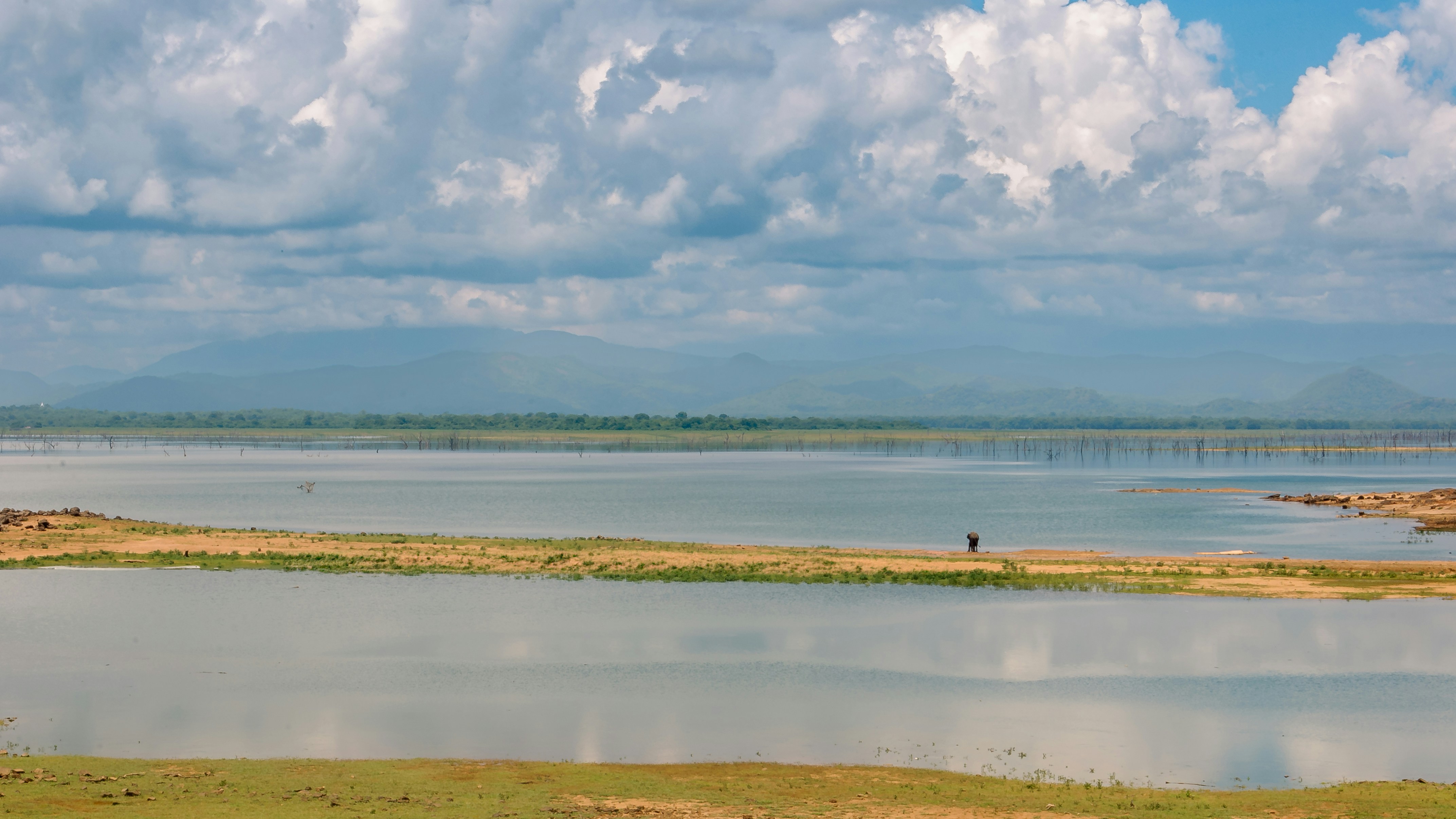 Photo by yanukadeneth99