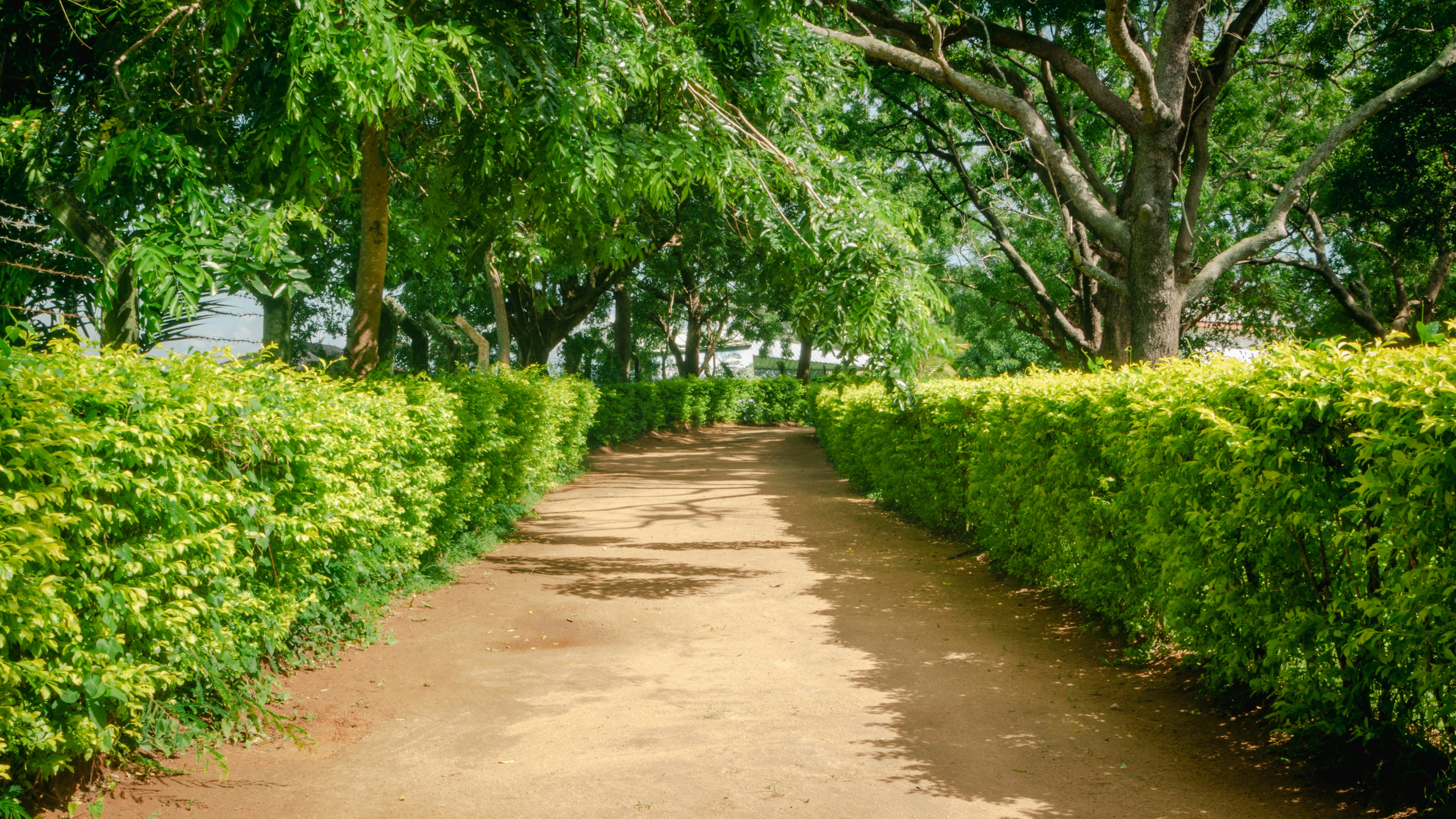 Photo by yanukadeneth99