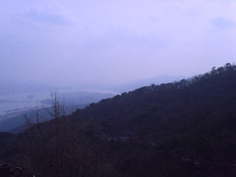 A dark, misty landscape with soft gradients blending into the horizon.