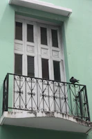 A green building facade featuring a small balcony with ornate black wrought iron railings. A closed, weathered wooden door with vertical glass panes is visible, and two pigeons are perched on the balcony railing.