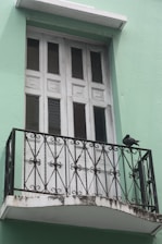 Close-up of a sturdy anti-pigeon net installed on a balcony in T Nagar.