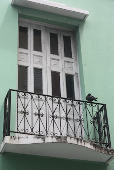 A green building facade featuring a small balcony with ornate black wrought iron railings. A closed, weathered wooden door with vertical glass panes is visible, and two pigeons are perched on the balcony railing.